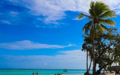 meg von haartman m4i5Wyn4E8o unsplash scaled e1775034763828